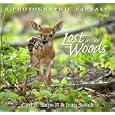 Lost In The Woods: A Photographic Fantasy