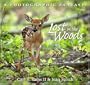 Lost In The Woods: A Photographic Fantasy