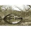 Bridge in Central Park Gallery Wrapped Canvas - 24x36"