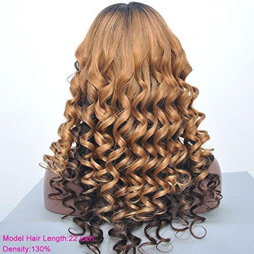 Brazilian Virgin Hair Full Lace Human Hair Wig Ombre Curly Wig for Black Women (20)