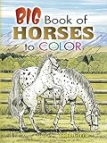 Big Book of Horses to Color (Dover Nature Coloring Book)