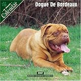 61PA5H3GD4L. SL160  Dogue de Bordeaux 2007 Wall Calendar