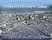 The Politics of Place: A History of Zoning in Chicago (Illinois) (Illinois)