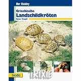 017403 Griech. Landschildkröten/ R. Zirngibl
