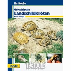 017403 Griech. Landschildkr�ten/ R. Zirngibl