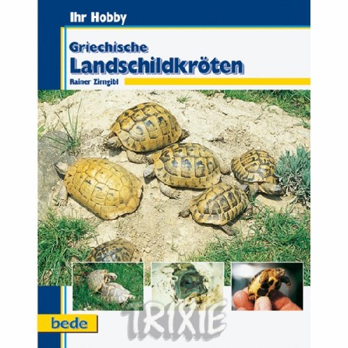 017403 Griech. Landschildkröten/ R. Zirngibl