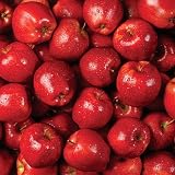 Food Papers 12X12-Red Apples