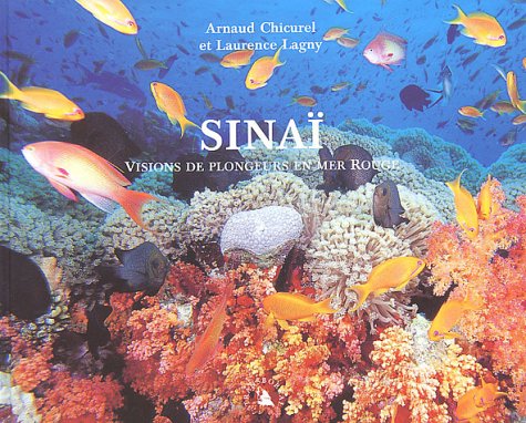 City Travel Guides Discounted  Livres : Sinaï : Visions de plongeurs en mer Rouge