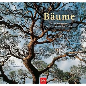 Bäume: Eine Weltreise in faszinierenden Fotos