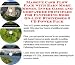 Book Massive Cash Flow Pack with Earn More Money, Inner Game and Godfather Principles for Flyfishing Rods On-line Businesses 3 CD Power Pack