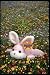 Softbellys(R) Monitor Dustwipes, Dust Bunny (Bunny)