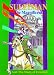 Book Suleiman the Magnificent and the Story of Istanbul (Treasures from the East)
