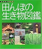 田んぼの生き物図鑑 (ヤマケイ情報箱)