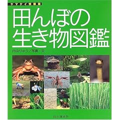 �c��ڂ̐������}�� (���}�P�C���)