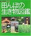 内山 りゅう: 田んぼの生き物図鑑 (ヤマケイ情報箱)