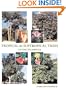 Tropical and Subtropical Trees: An Encyclopedia