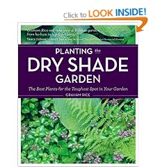 Planting the Dry Shade Garden: The Best Plants for the Toughest Spot in Your Garden