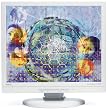 NEC ASLCD9V 19" LCD Monitor (White)