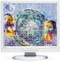 NEC ASLCD9V 19" LCD Monitor (White)