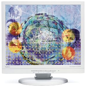 NEC ASLCD9V 19" LCD Monitor (White)