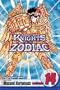 Knights of the Zodiac (Saint Seiya), Vol. 14
