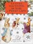Le livre d'activit�s de No�l de Pierre Lapin