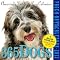 Dogs . . in 2012 Calendars ! 3