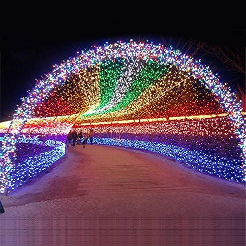 Sunnyillumine 8 Settings 33ft 100 Bright LED String Lights Starry Lights Indoor &amp; Outdoor Xmas Decorations Lights Perfect Holiday Lights for Festivals (Multi-colored)