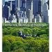 if you really love Central Park