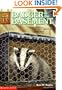 Badger in the Basement (Animal Ark Series #6)