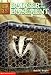 Badger in the Basement (Animal Ark Series #6)