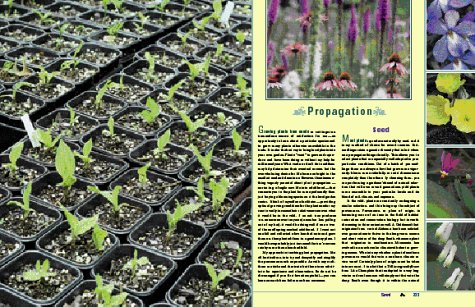 Wildflowers, (The New England Wild Flower Society) under Plants in The Books Store