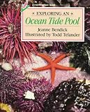 Exploring an Ocean Tide Pool (Redfeather Book)