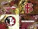 Florida State Painting - Warhol FSU Logo
