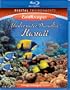 Living Landscapes Underwater Paradise Hawaii [Blu-ray]