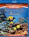 Underwater Paradise Hawaii [Blu-ray]