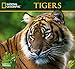 National Geographic Tigers 2017 Wall Calendar