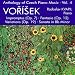 Image of Anthology Of Czech Piano Music Vol. 4 - Vo?í?ek