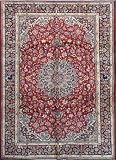 10 X 13 Navy Blue Red Floral Design Handmade Hand Knotted Persian Area Rug G105
