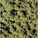 Clump Foliage, Light Green