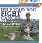 Help Your Dog Fight Cancer: An Overview Of Home Care Options
