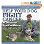 Help Your Dog Fight Cancer: An Overview of Home Care Options