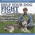 Help Your Dog Fight Cancer: An Overview Of Home Care Options
