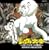 �������u�W�����O�����v<2009�N������>~�������C�I���̕���~(DVD�t)