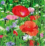 Eigenschaften KnorrPrandell / Gütermann / KnorrPrandell 1616266 - Servietten Mohnblumenwiese, 20 Stück/Pack