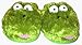 Fuzzy Frog Animal Slippers for Women Image