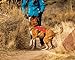 RUFFWEAR, Web Master, Multi-Use Support Dog Harness, Hiking and Trail Running, Service and Working, Everyday Wear, Red Currant, X-Small