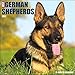 German Shepherds 2017 Wall Calendar