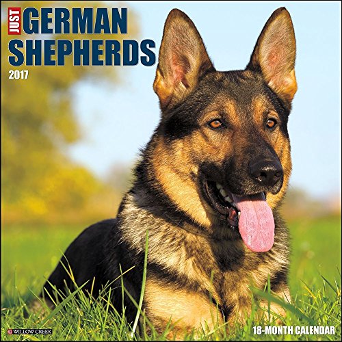 German Shepherds 2017 Wall Calendar