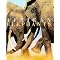 African Elephants